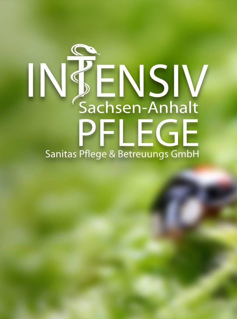 sanitas-home-mainlinks-01